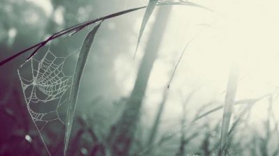 ​对女生表白的一段话(男孩向女孩表白的话)