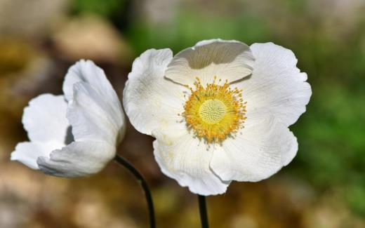 让男友打动哭的句子短句子