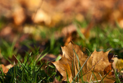 ​爱情的唯美短文(50句)