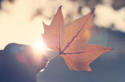 世上最浪漫的十句情话