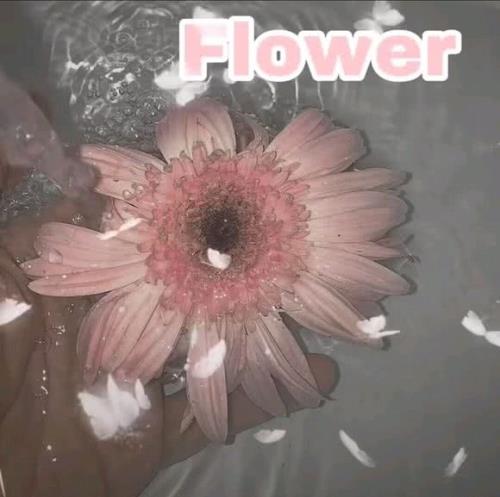 抖音男版嘶吼如果你爱上了别人