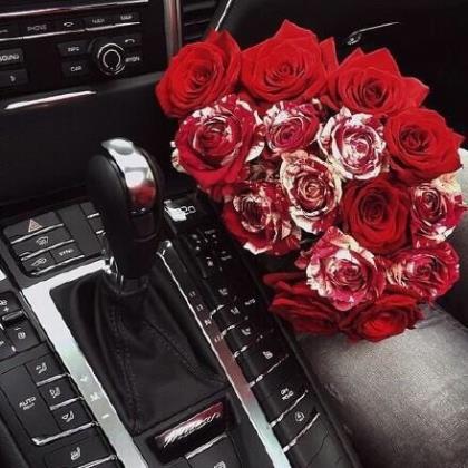 霍乱时期的爱情经典语段