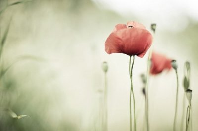 ​霸王别姬经典台词53句