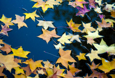 ​爱情签名档300条