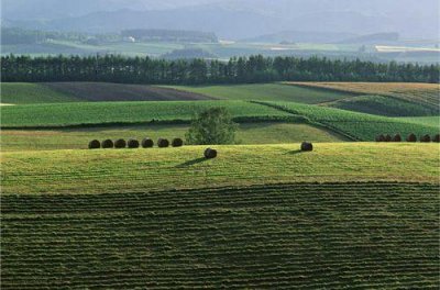 ​让男朋友感动哭的句子(35句)