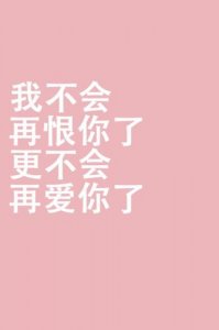 ​形容不会再爱了的短句 形容一个人不会再去爱任何人的句子！