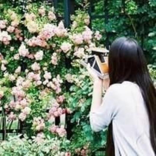 情侣间的情话小套路