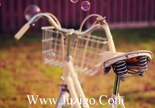 爱情的句子经典摘抄大全