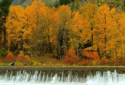 ​关于情人节的藏头诗，最浪漫的表白藏头诗520情人节浪漫表白短信(34句)