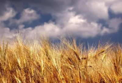 ​李商隐的诗有什么特点（李商隐3首绝美爱情诗）