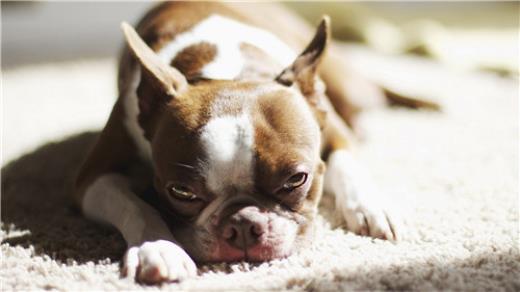 浪漫爱情生日祝福语