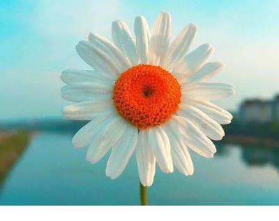 爱情神话情侣誓言