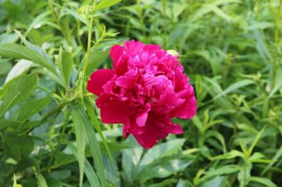 ​挽回感情的暖心语录