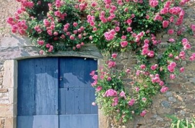 ​qq空间文案爱情(好看的留言配图)