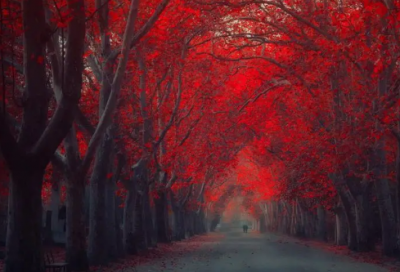 ​15字以内的唯美情话,爱情寄语感动短句精选(热门19句)