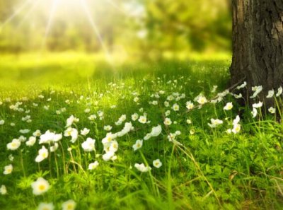 ​真正的成熟是经典语录