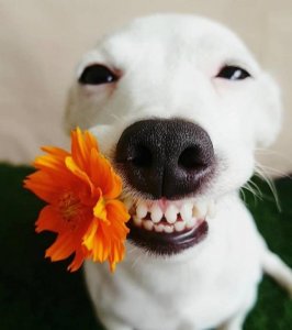 ​雷人语句大全(噎死人的雷人语句 搞笑含着人生哲理)