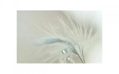 ​土味情话套路大全聊天女生，和女生聊天土味情话