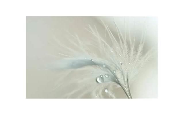 土味情话套路大全聊天女生，和女生聊天土味情话