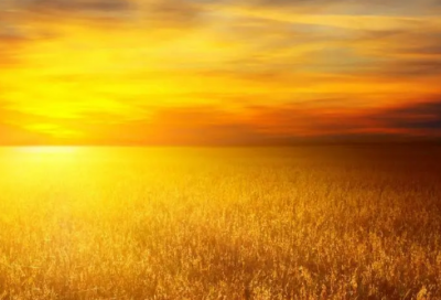 ​爱情签名大全【精选51句】