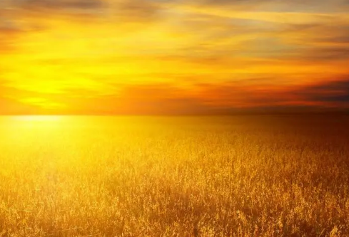 1688421669792310.png image.png