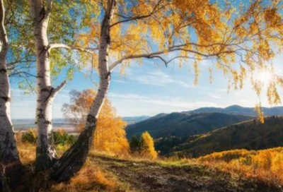 ​泰戈尔爱情诗集摘抄（最经典的爱情诗）