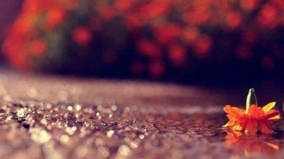 ​励志说说致自己短语 2026跨年励志的短语