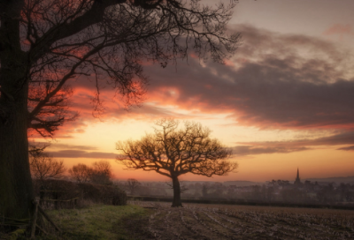 ​关于2026最火励志句 2026年最励志的一句话