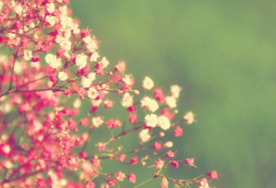 ​关于2026年励志春节牛年对联