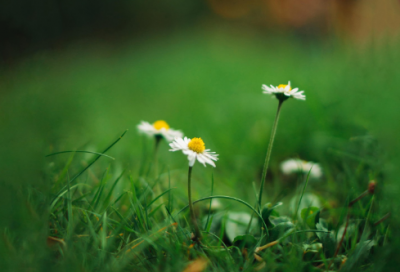 ​关于2026励志的话简短霸气 正能量奋斗句子