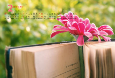 ​关于2026适合高三学生高考励志语录