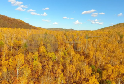 ​情感短信精选，爱情情感短信(14句)