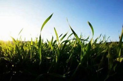 ​感人的爱情句子阅读欣赏