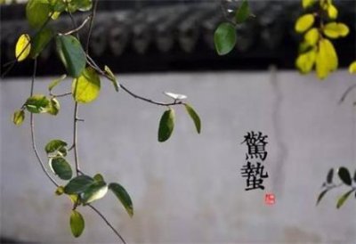 ​情侣空间名字,情侣空间小屋名称精选(40条)