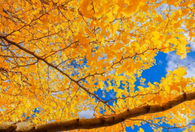 ​数字表白密码暗语大全