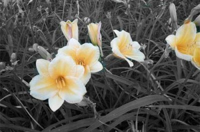 ​爱情的歇后语27句