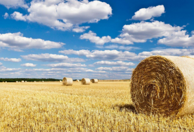 ​形容美妙爱情的句子（形容一段美好的爱情的句子）