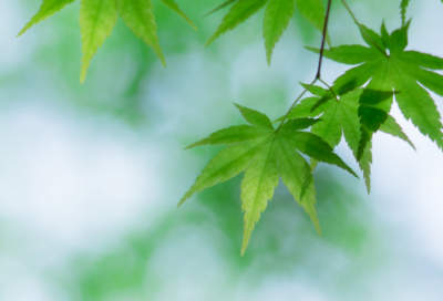 ​描写日落美景的诗句 日落美景诗句(精选29句)