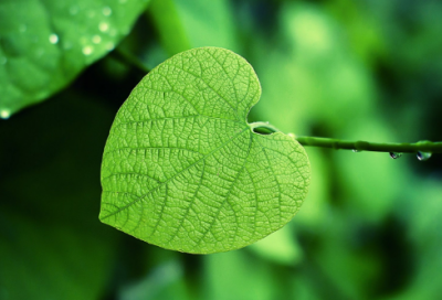 ​最美芒种的诗句 赞美芒种的诗句(精选37句)