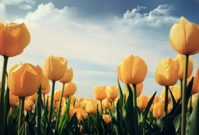 ​为了生活背井离乡句子 一句话表达离家的伤感句子