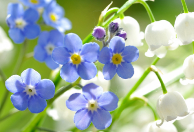 ​心好累了的伤感说说图片 人好累心好累的伤感说说