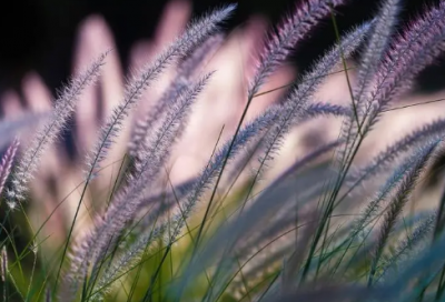 ​委屈到让人心疼的语录 心酸委屈的伤感句子