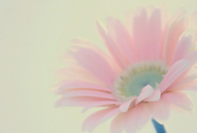 ​关于不值得的伤感说说 人间不值得的伤感说说