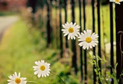 ​经典的qq个性签名伤感，句句戳心，读到心碎！