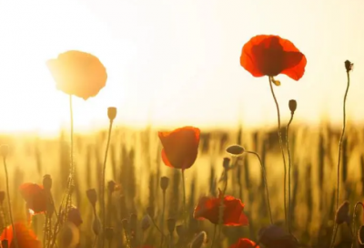 ​偌大的城市心酸句子 陌生的城市一个人伤感说说