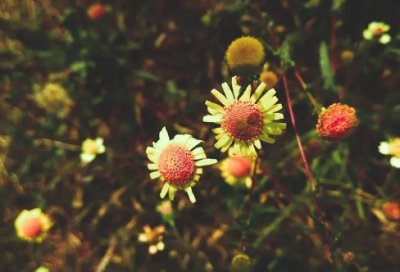 ​婚姻伤感签名