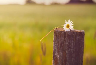 ​伤感绝情的心情句子 看透一切的绝情句子(精选27句)