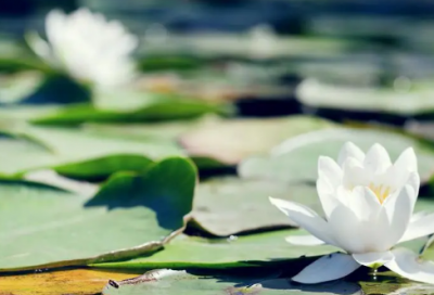 ​生日伤感说说(精选23句)