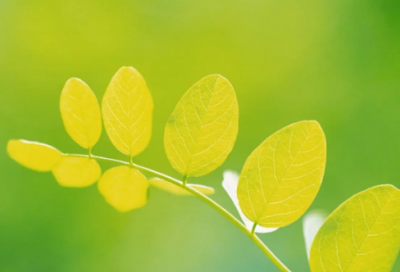 ​虐心伤感扎心语录 伤感扎心句子(精选24句)