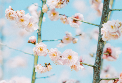 ​剑雨经典台词-伤感的剑雨经典台词
